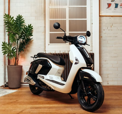AJS Barletta 50cc