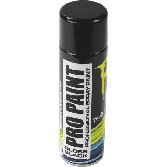 Pro Clean Pro Paint - Gloss Black