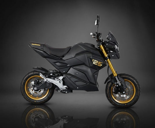 Yamimoto TY125